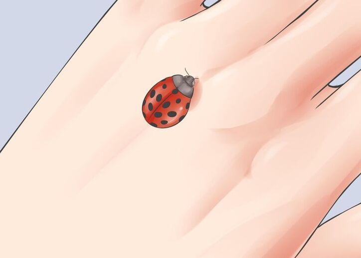 Ladybug as a talisman of good luck
