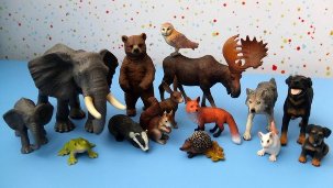 The figures of animals